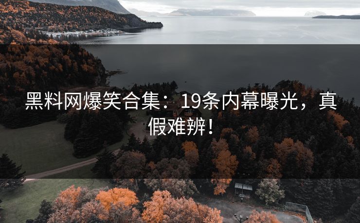 黑料网爆笑合集：19条内幕曝光，真假难辨！