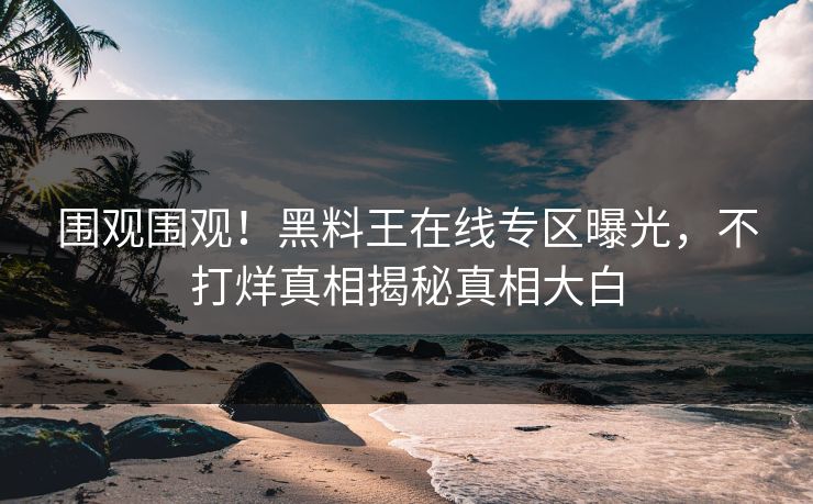 围观围观！黑料王在线专区曝光，不打烊真相揭秘真相大白