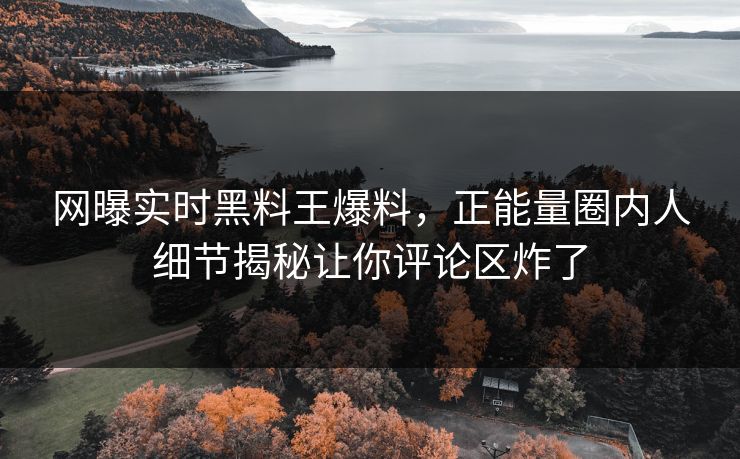 网曝实时黑料王爆料，正能量圈内人细节揭秘让你评论区炸了