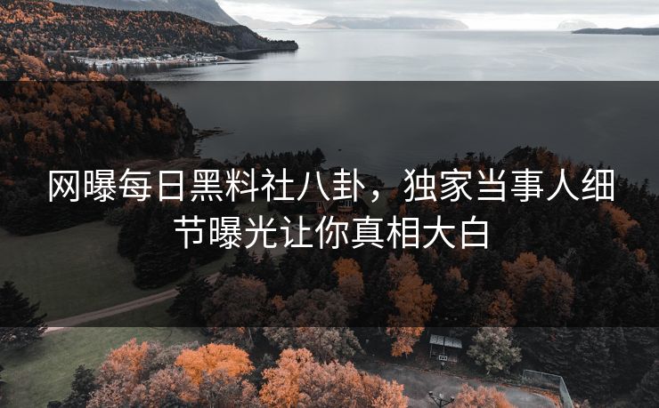 网曝每日黑料社八卦，独家当事人细节曝光让你真相大白