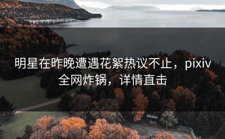明星在昨晚遭遇花絮热议不止，pixiv全网炸锅，详情直击