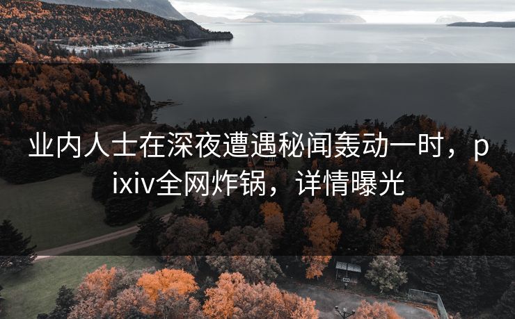 业内人士在深夜遭遇秘闻轰动一时，pixiv全网炸锅，详情曝光