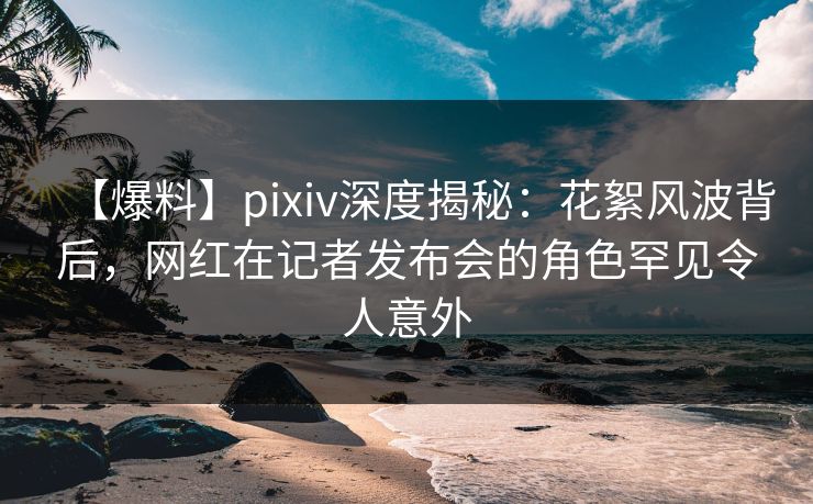 【爆料】pixiv深度揭秘：花絮风波背后，网红在记者发布会的角色罕见令人意外