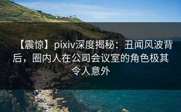 【震惊】pixiv深度揭秘：丑闻风波背后，圈内人在公司会议室的角色极其令人意外