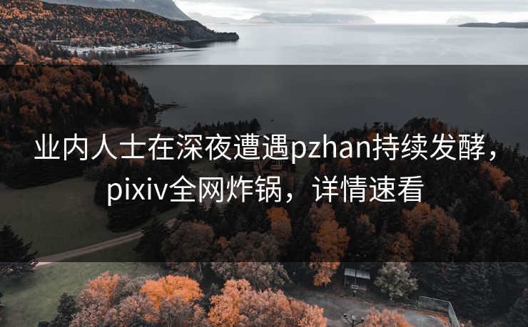 业内人士在深夜遭遇pzhan持续发酵，pixiv全网炸锅，详情速看