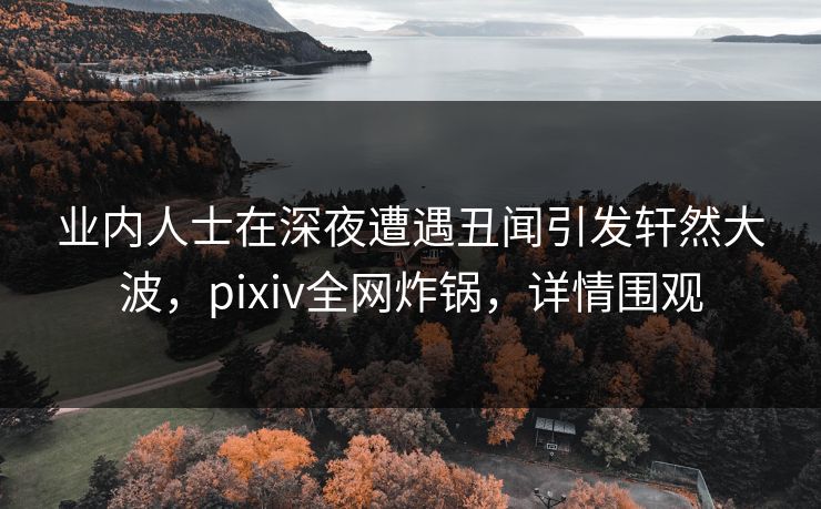 业内人士在深夜遭遇丑闻引发轩然大波，pixiv全网炸锅，详情围观