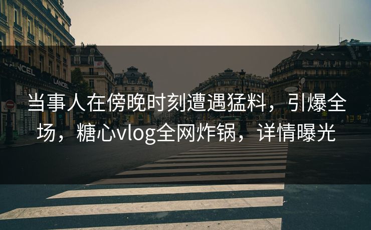 当事人在傍晚时刻遭遇猛料，引爆全场，糖心vlog全网炸锅，详情曝光