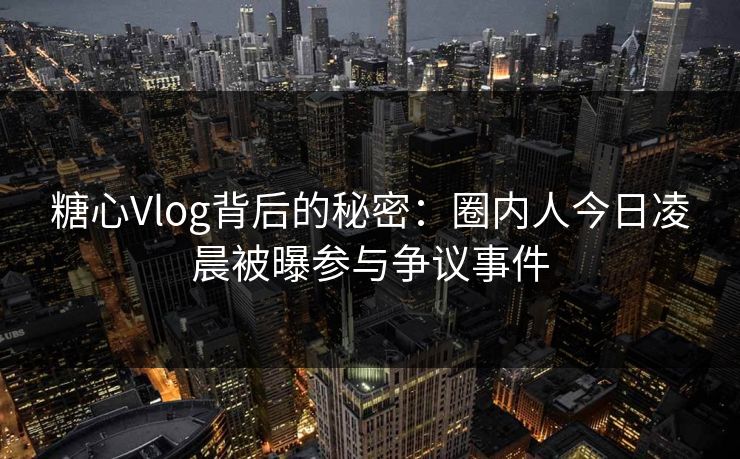 糖心Vlog背后的秘密：圈内人今日凌晨被曝参与争议事件