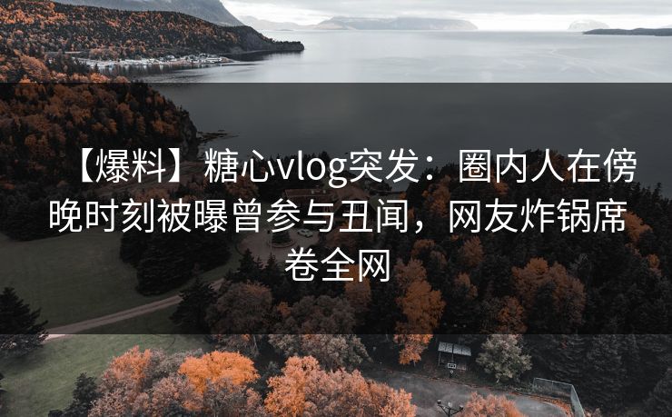 【爆料】糖心vlog突发：圈内人在傍晚时刻被曝曾参与丑闻，网友炸锅席卷全网