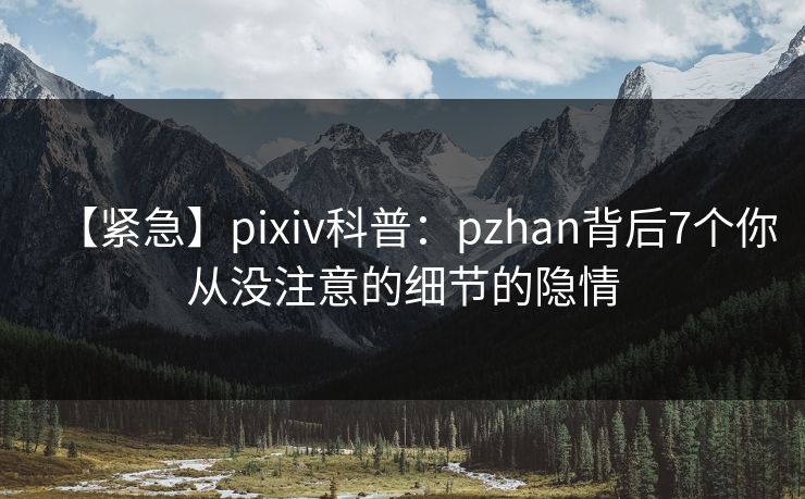 【紧急】pixiv科普：pzhan背后7个你从没注意的细节的隐情